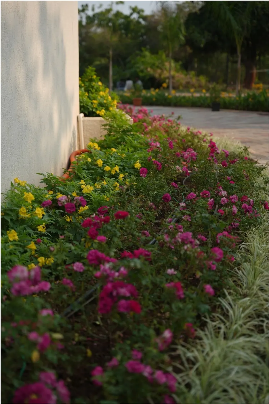 Flower bed curving along the path
