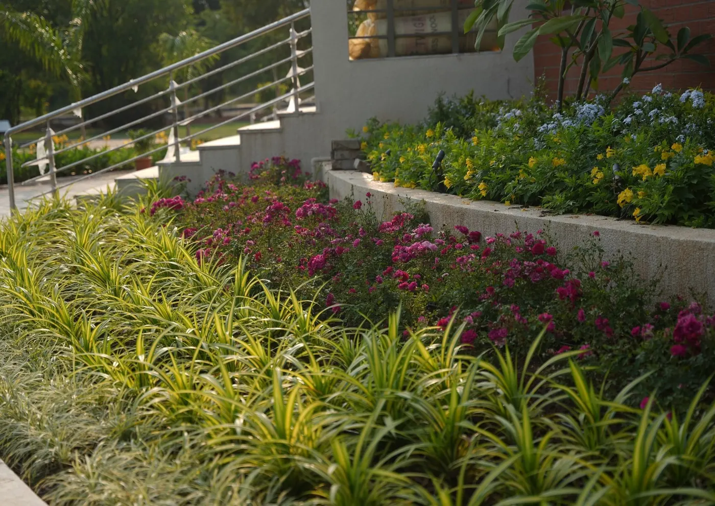 Flower beds beside the steps to the dome